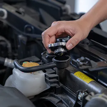 Cooling System in Clearwater, FL