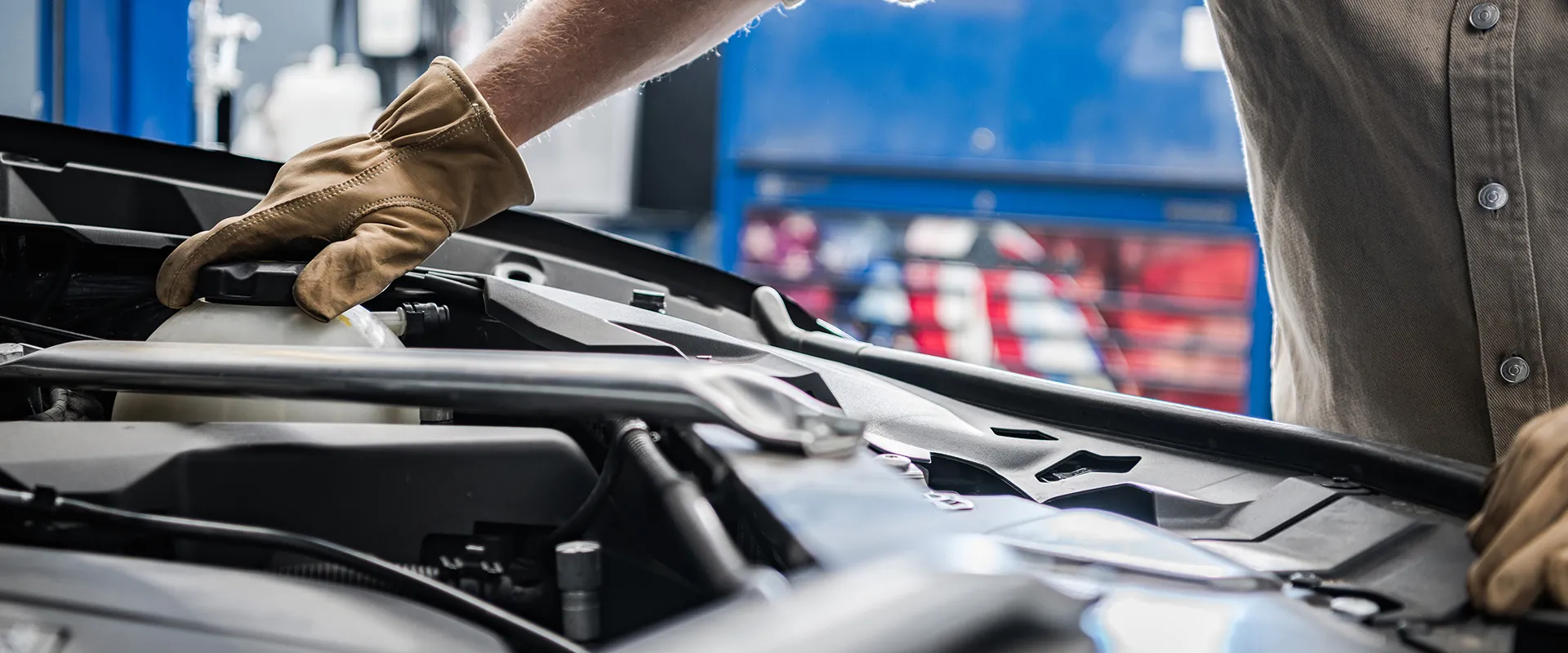 Belts & Hoses near Clearwater, FL